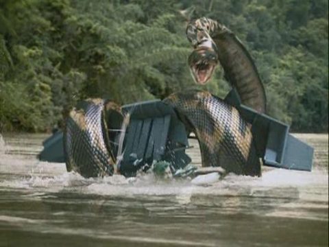 รีวิว Boa อสูรกายสายพันธุ์นรก (2006)