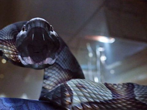 รีวิว Snakes on a Plane (2006)